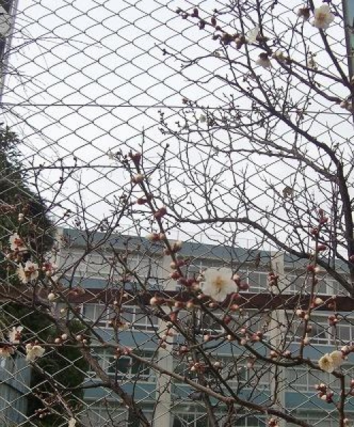 0127重松先生4