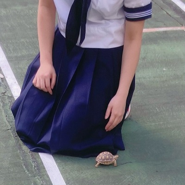 カメお散歩②