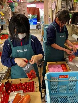 250509sanntoku