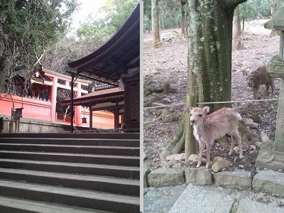 nara2